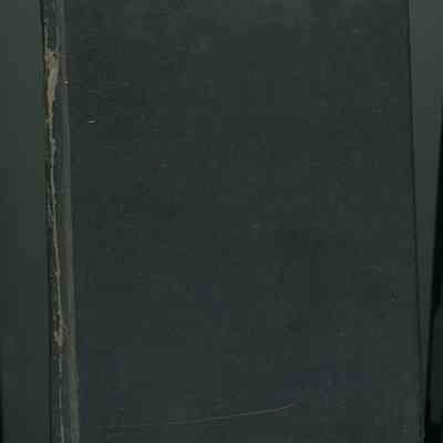 Brazilian Dictionary of the Portugese Lanuage
