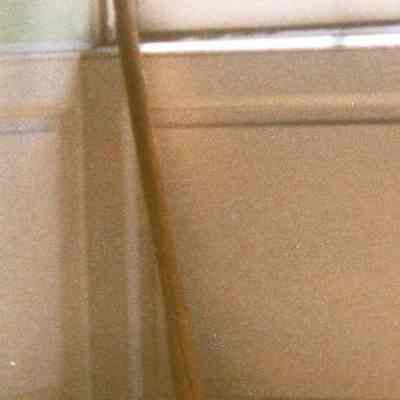 Broom