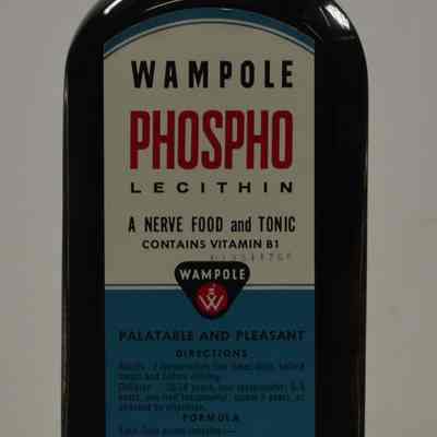 Phospho-Lecithin, 16 fl. oz.