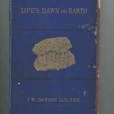 Life's Dawn on Earth