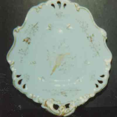 Dish