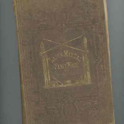 The Lady's Manual of Fancy-Work