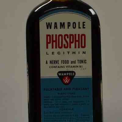 Phospho-Lecithin, 16 oz
