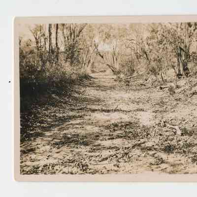 Riverbed Surrounded By Trees