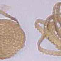          Trim picture number 2
