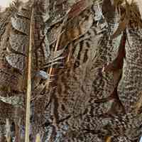          Fan picture number 3
