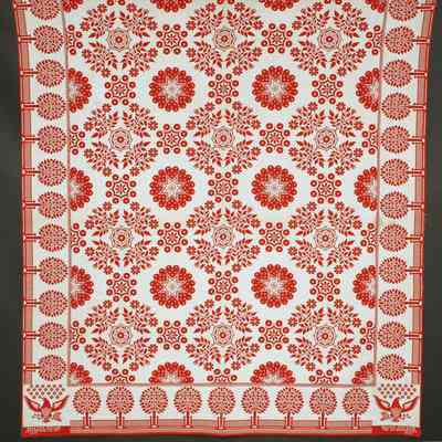 Coverlet