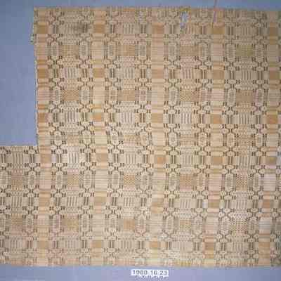 Coverlet