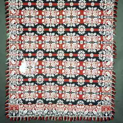 Coverlet