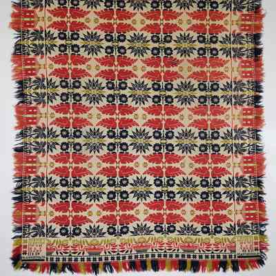 Coverlet