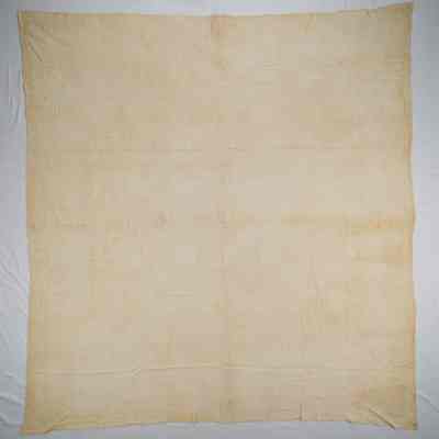 Coverlet