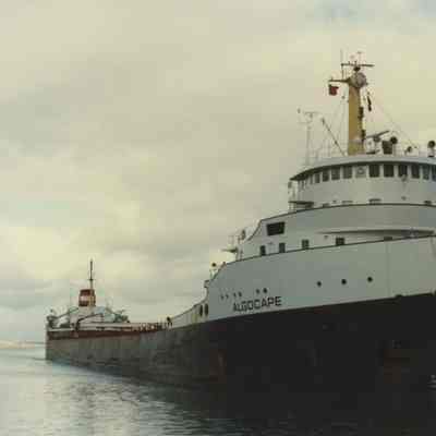 ALGOCAPE
