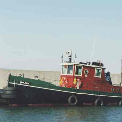 SEA BIRD