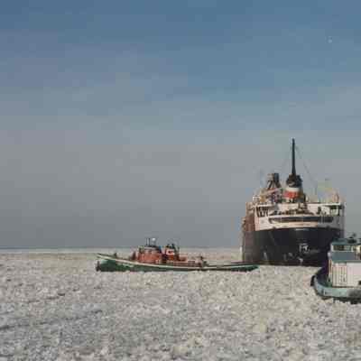 TARANTAU