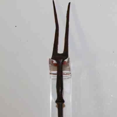Fork