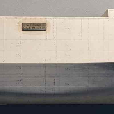 Le Conte Plating Model
