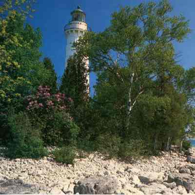 Cana Island Lighthouse Postcard