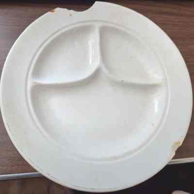 Segmented plate