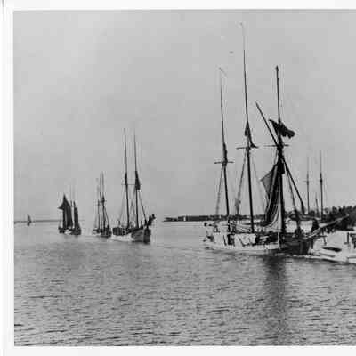 Schooner Charles L. Wyman, Lyma M. Davis, Iver Lawson, Oscar Newhouse, and Augustus being towed