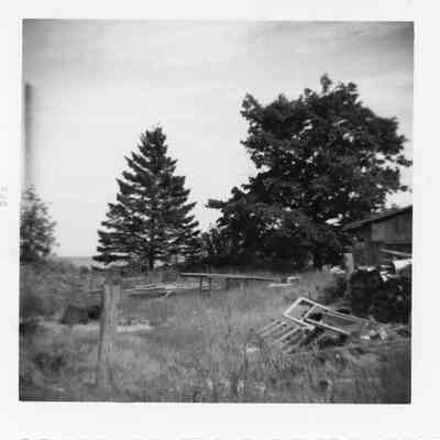 Yard in Baileys Harbor August 1957