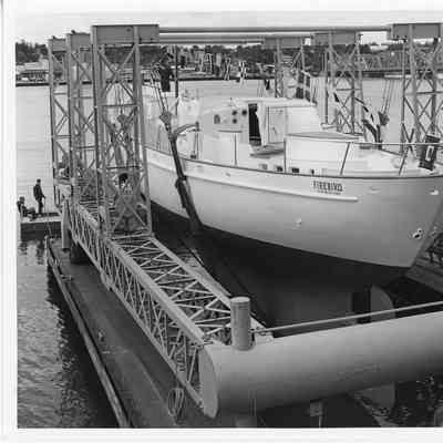 Firebird going in water