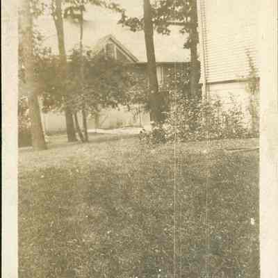 Backyard and building