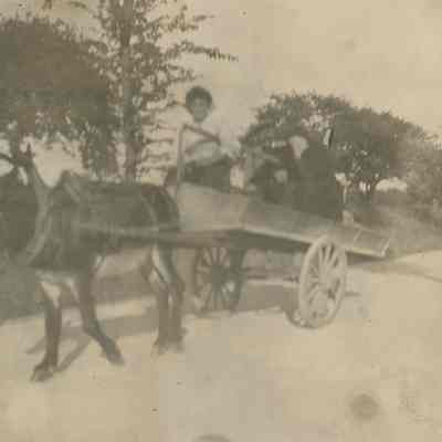 people in donkey pulled cart