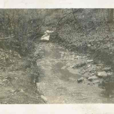 Stream