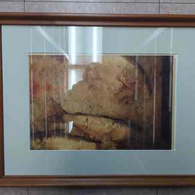 Framed photograph of fish on ice