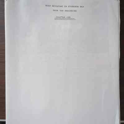Boat Building in Sturgeon Bay From the Beginning manuscript