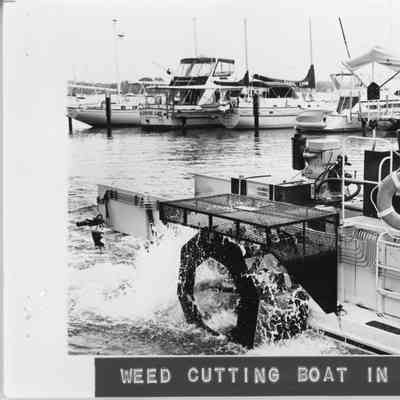 Weed cutting boat in action