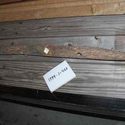 Shipwreck Artifact