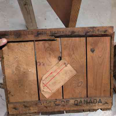 Fish Box Bench