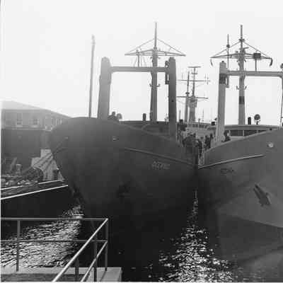 Oceanus and Wecoma docked