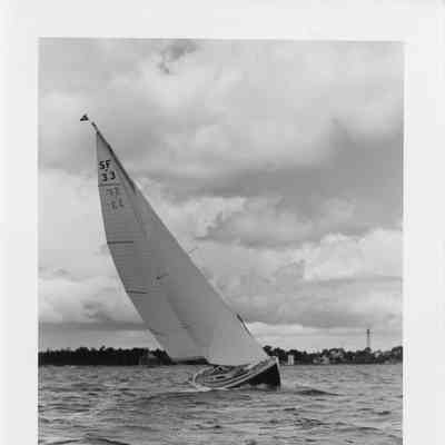 sailboat SF 33 under sail