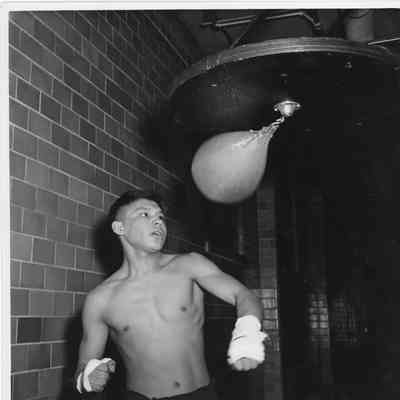 Boxer using punching bag