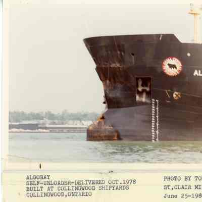 Algo Bay 1980