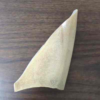 Ceramic Fragment