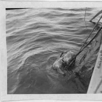 Diver in diving suit on ladder in water