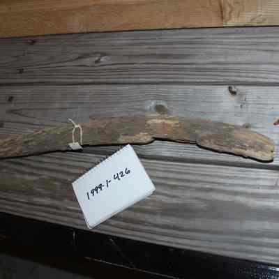 Shipwreck Artifact