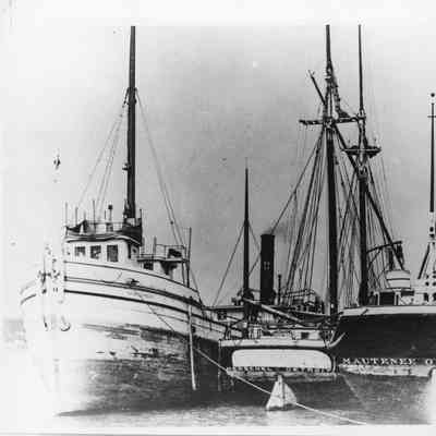 S.C. Baldwin, Herschel, and Mautenee docked