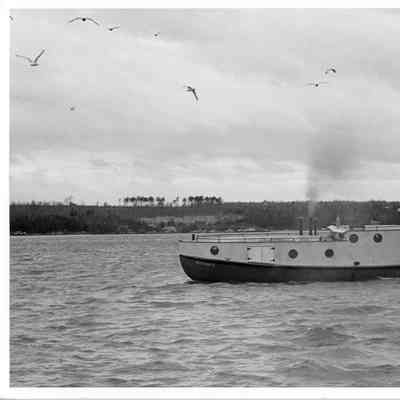 Tug Neptune II underway