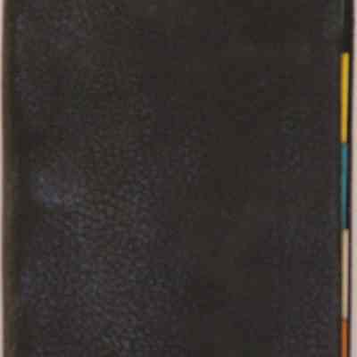 Roen Steamship Co. Ledger