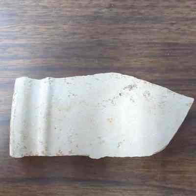 Ceramic Fragment