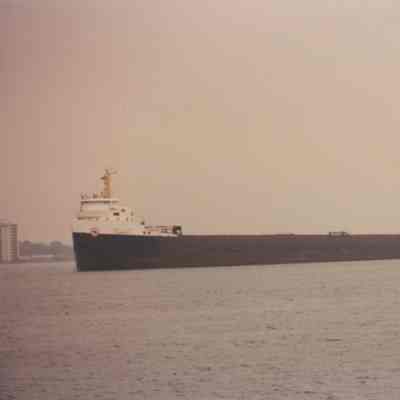 ALGOGULF