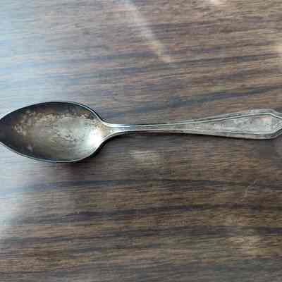 Georgian Bay Line Teaspoon