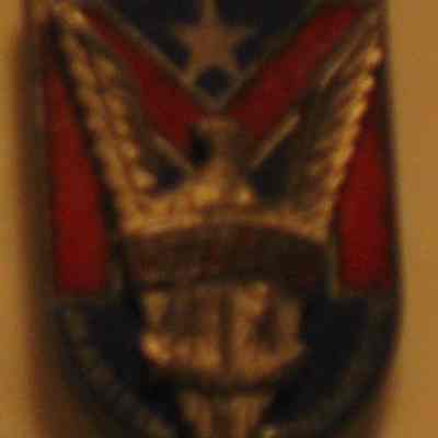 Safety Award Pin