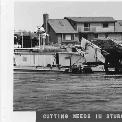 cutting weeds in Sturgeon Bay 1991