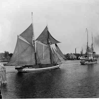 Five schooners filled with lumber 1894