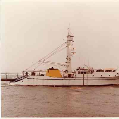 Tuna Seiner Jane